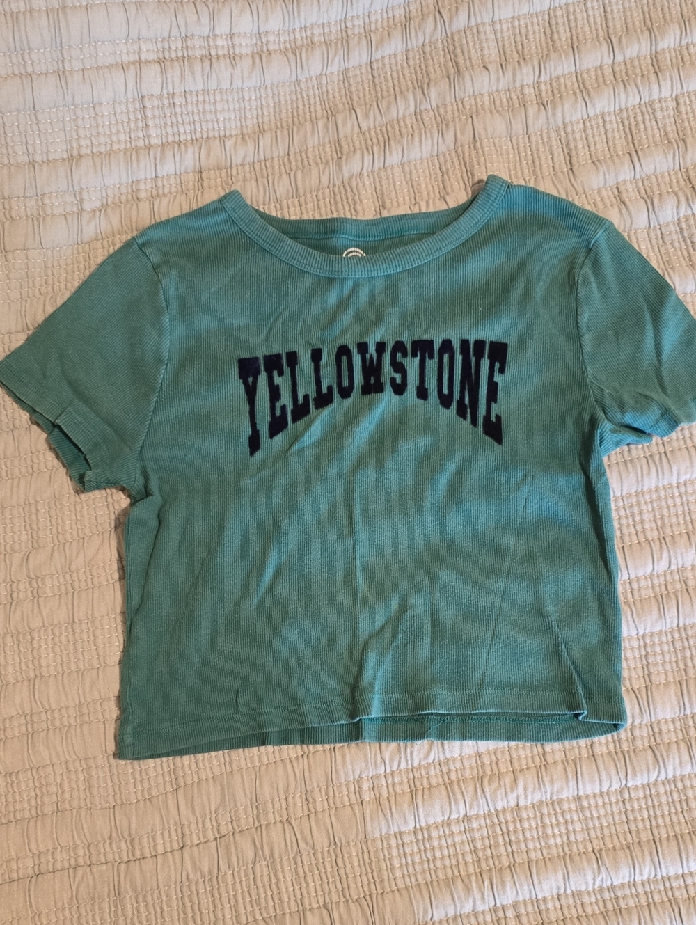 Yellowstone Cropped Short Sleeve Tee in Teal